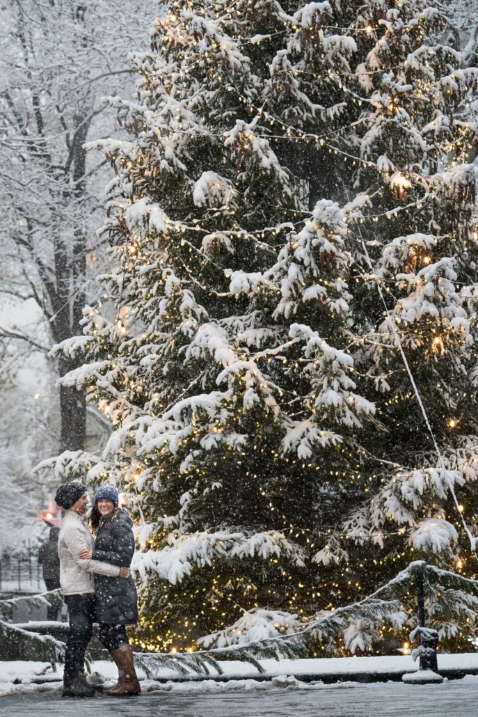 Engagement portrait by a large Christmas tree.