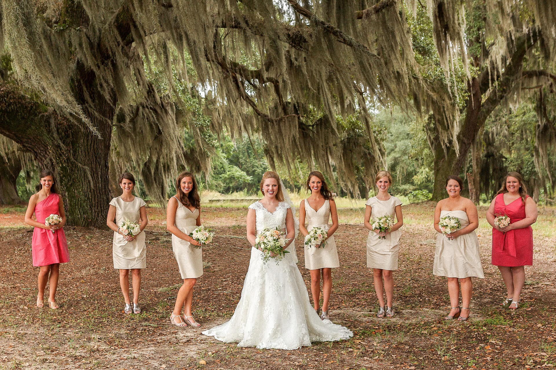 Bridal party standing under a tree with Spanish moss.